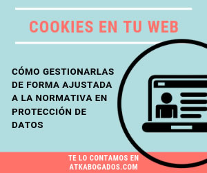 Cookies en la web