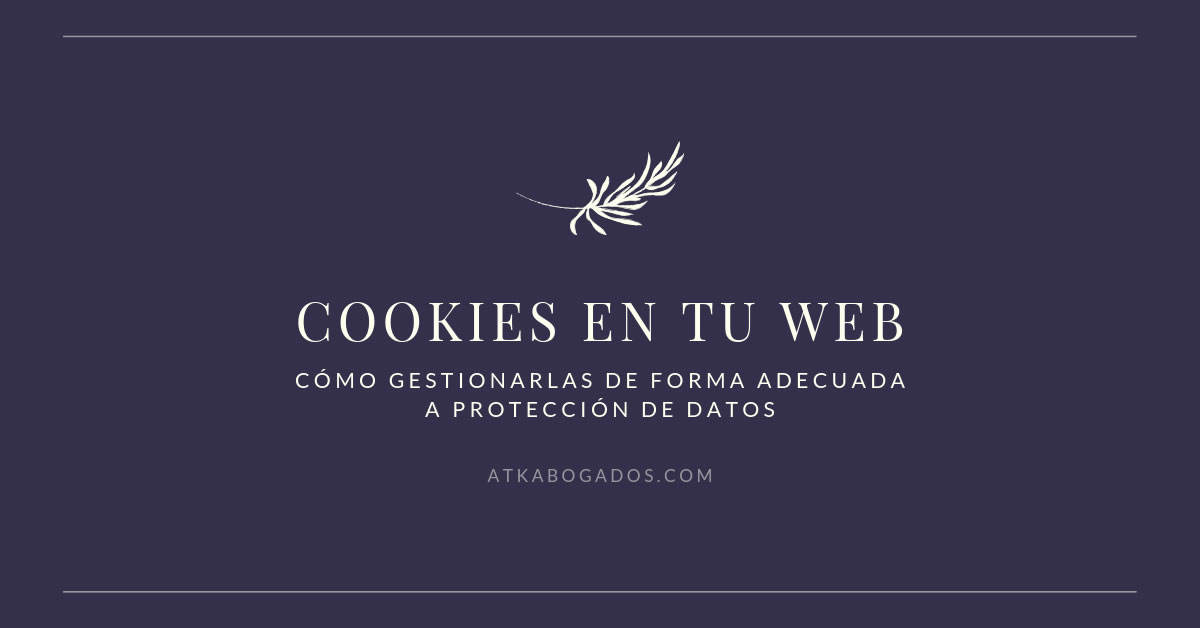 cookies en la web